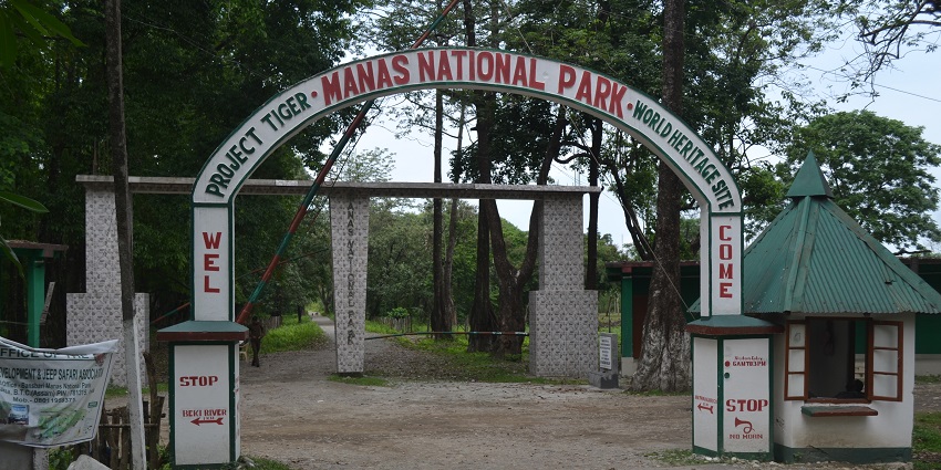 Entry gate of Manas National Park with lush greenery surrounding and clear sky background.