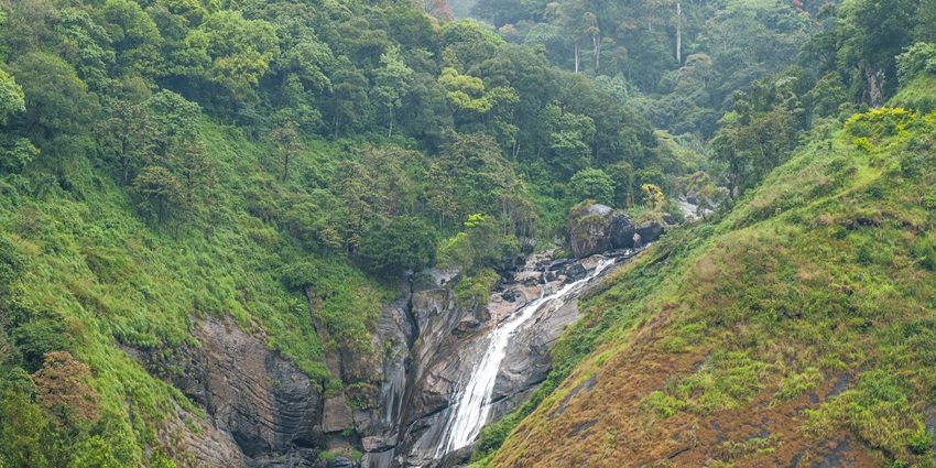 Eravikulam National Park arranges daily treks for tourists to Lakkam Waterfalls as well