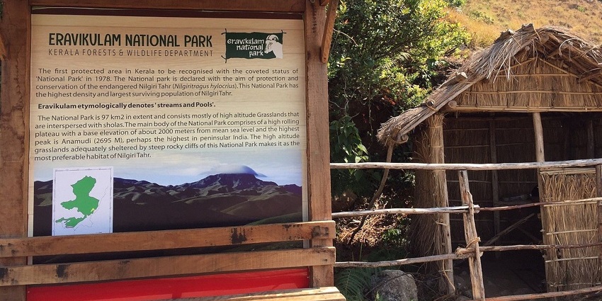 Eravikulam National Park is one of the best places to visit in Kerala.