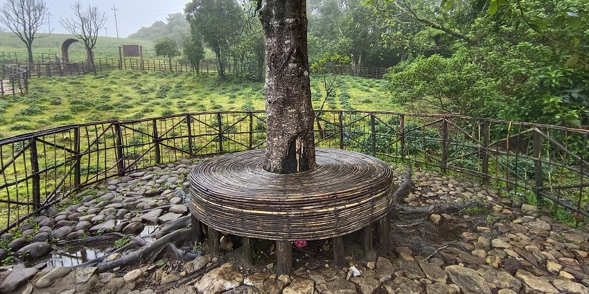 Eravikulam National Park is one of the best places to visit after paragliding in Munnar.