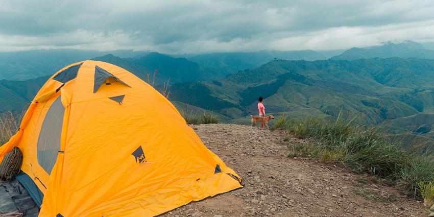 A view of a dome tent with a person standing with a dog in the background during the day.