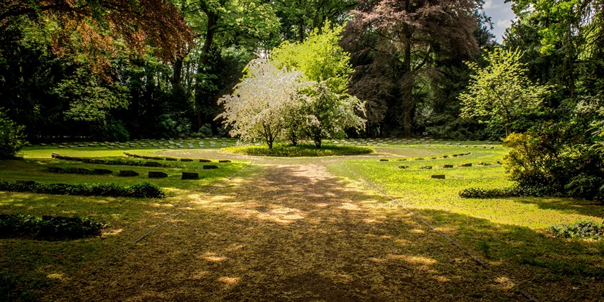 Nakshatra Garden’s zodiac-themed layout with medicinal plants and shaded walking trails in Silvassa.