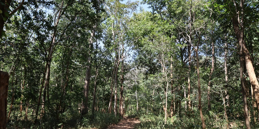 Stroll through lush surroundings of Asola Bhatti Wildlife Sanctuary, one of the things to do in South Delhi