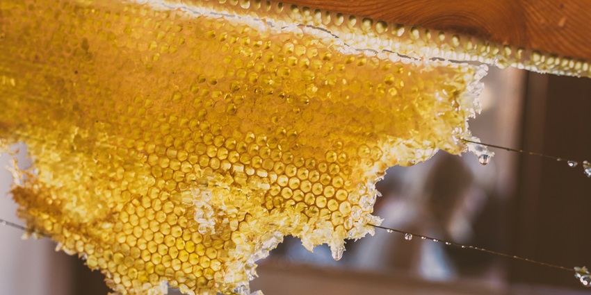 Visitors can enjoy exploring the vast pepper and honey farms in the local villages.