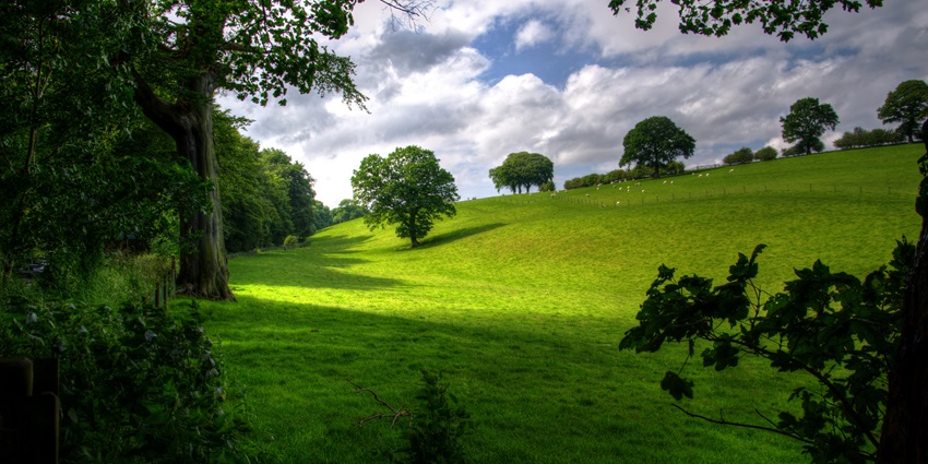 Explore the serenity of Matai Garden, as one of the things to do in Imphal.