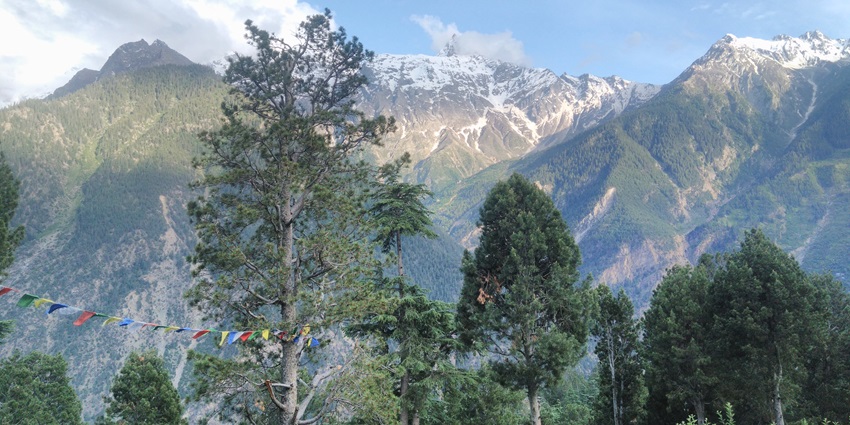 Beautiful image of the Sangla valley and its lush himalayan forest exploring it is one of the best things to do in Kalpa