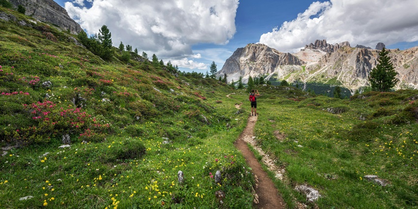 A breathtaking view of a lush green valley with a person standing in the middle.
