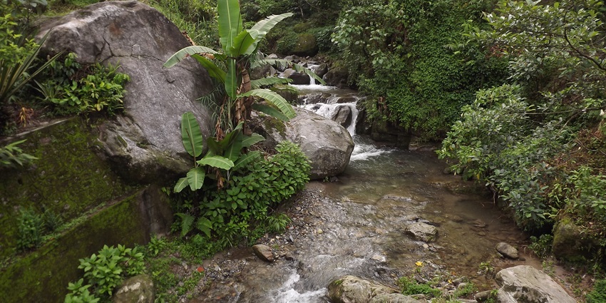 Exploring the park is one of the best things to do around Banjhakri Waterfalls Gangtok.