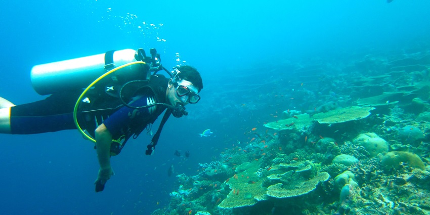 Scuba diving in Kovalam will give you a much-needed adrenaline rush and leave you awestruck