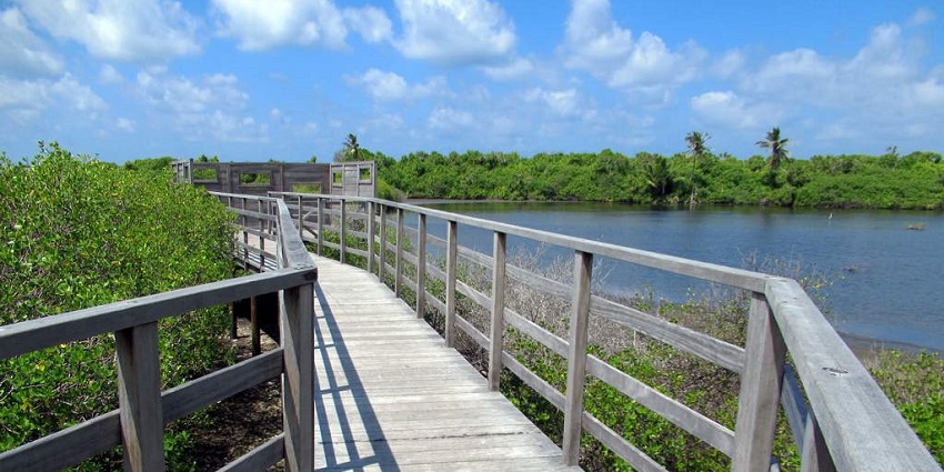 Eydhigali Kilhi is a beautiful place decked with lush greenery and diverse vegetation.