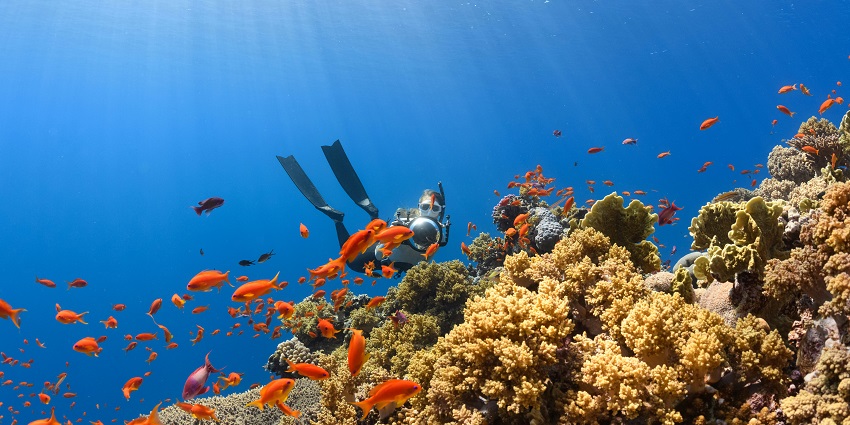 There are many health and general factors that can affect scuba diving in Sri Lanka.
