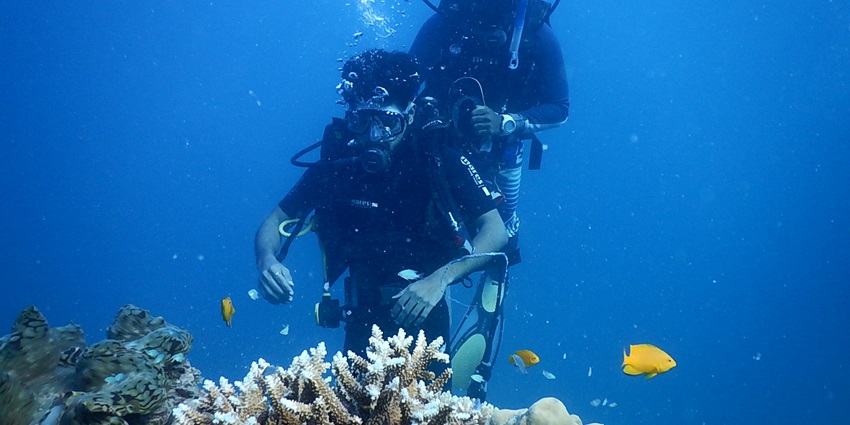 Scuba divers underwater exploring the marine plants and coral reefs while wearing diving gear