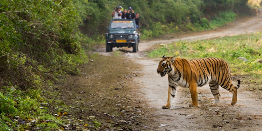 This sanctuary is renowned for its rich vegetation of orchids, ferns and cinnamon trees