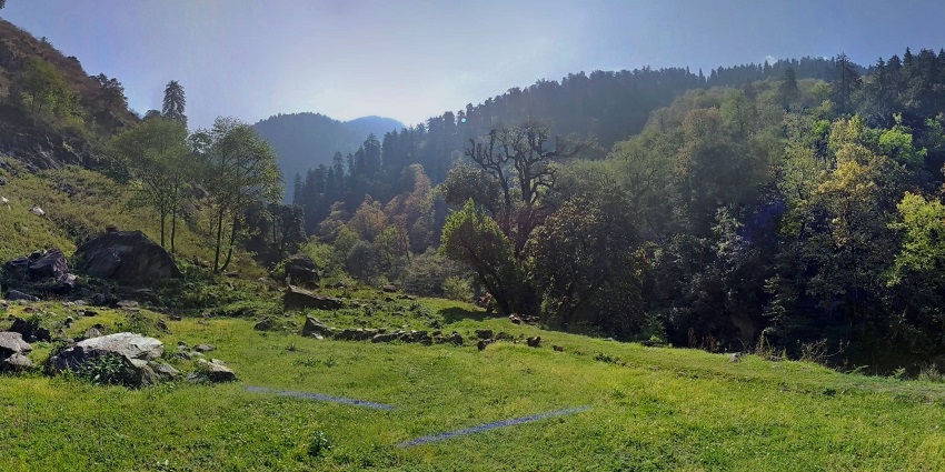 This national park houses a diverse wildlife including the rare Himalayan bear, Goral, and snow leopards