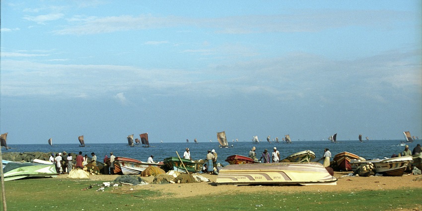 Fishermen working on Negombo Beaches, a glimpse into the coastal lifestyle.