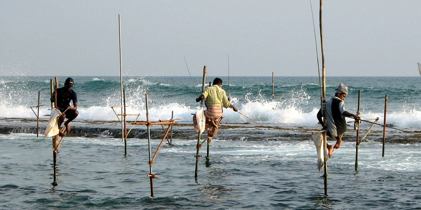 Fishing is among that water sports in Sri Lanka that is considered for a laid-back experience.