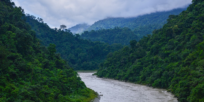 An image of a river with greenery on both sides