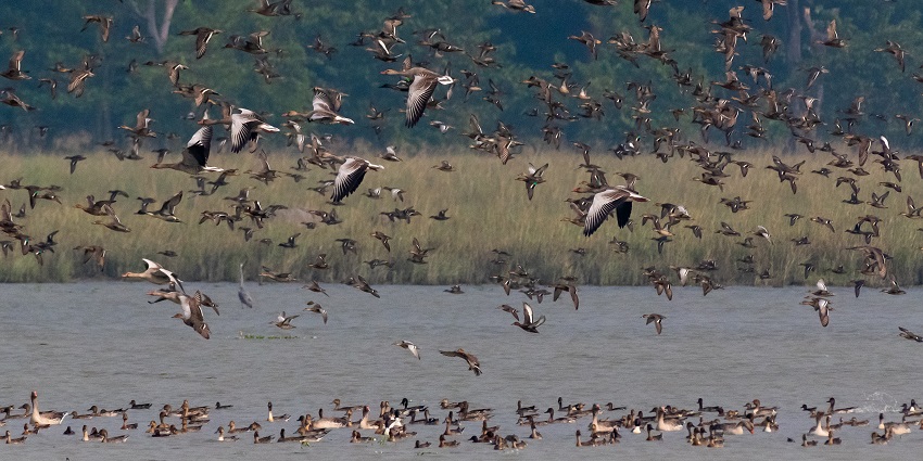 Pabha wildlife sanctuary displays its utmost beauty in the winter stretches of Novemeber to April