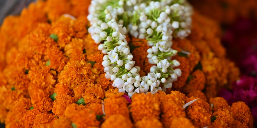 A beautiful view of a bunch of orange and white flowers sitting on a table during the day.