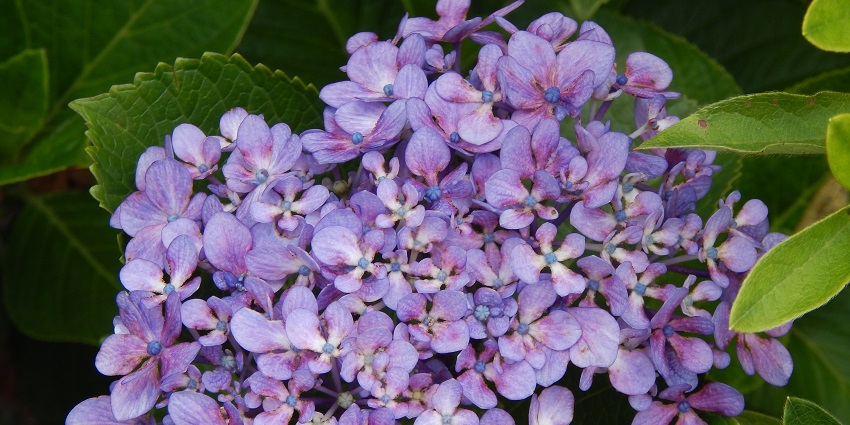 People who love the soft side of nature including flowers will love this exhibition centre.