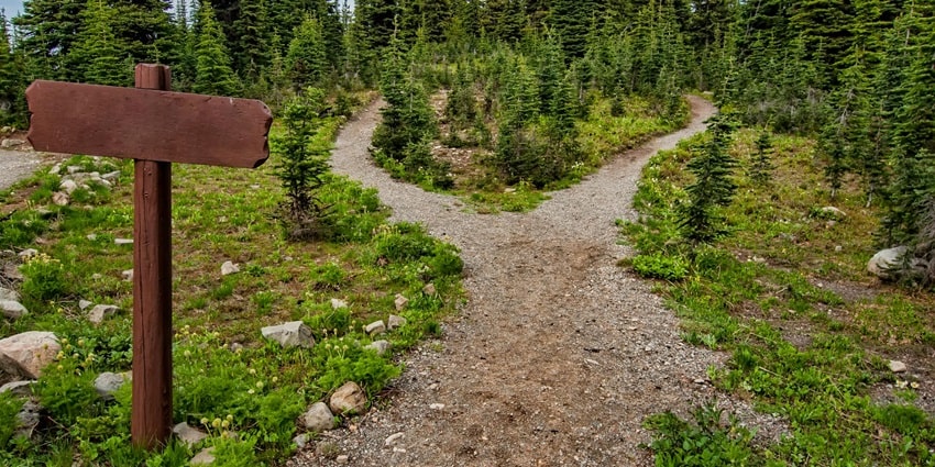Photo of Pathway Surrounded By Fir Trees - explore the surrounding near the waterfall.