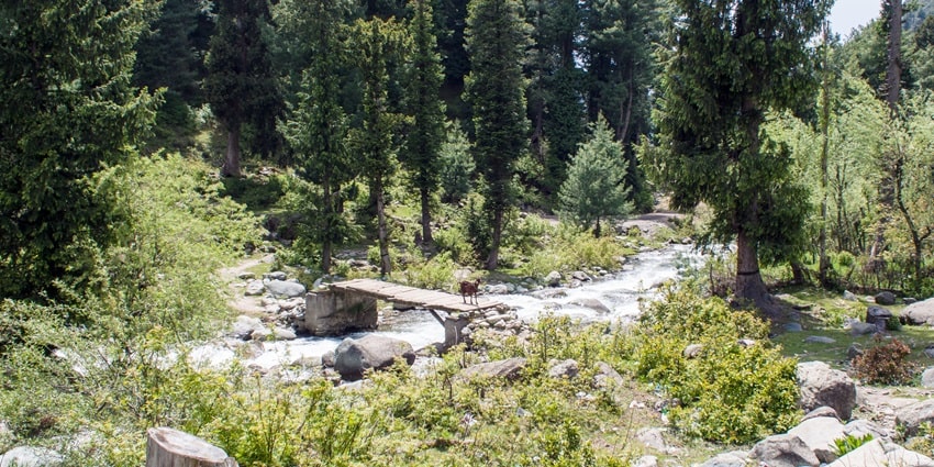 This village is a perfect destination for a peaceful getaway from the ruckus of city life