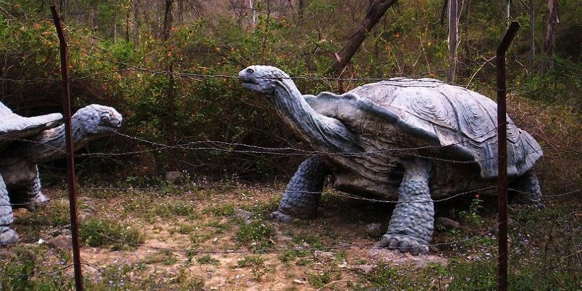 Suketi Fossil Park is unique in attraction for the visitors to view the fossils of ancient past.