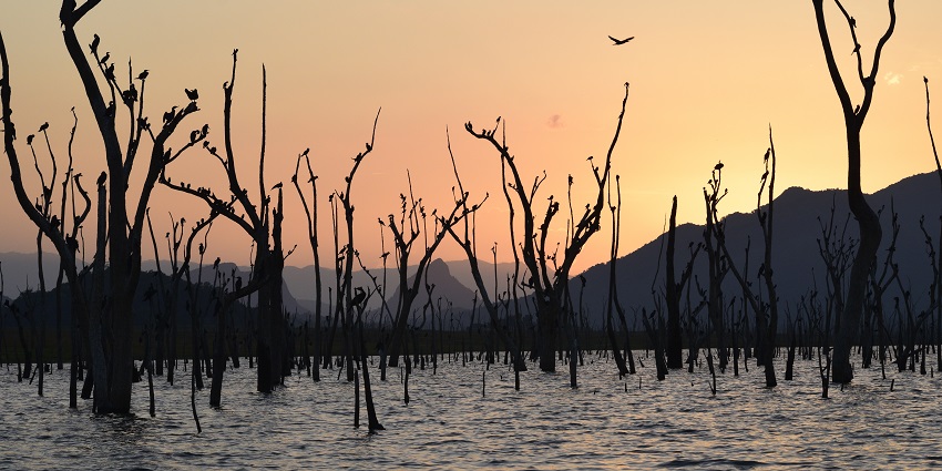 Go on a night boat safari at the Gal Oya National Park in Sri Lanka to spot sloth bears