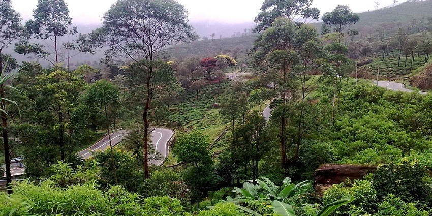 Scenic Nuwara Eliya road, a beautiful drive through misty hills and tea plantations