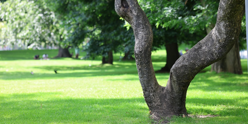 Gandhibagh Park offers lush green landscapes away from the city, perfect for relaxation.