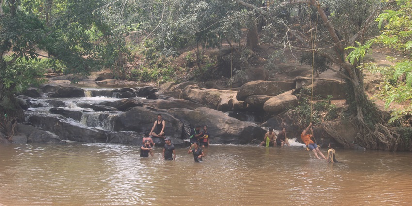 Dense Garbhanga Reserve Forest in Guwahati with tall trees - camping in Guwahati.