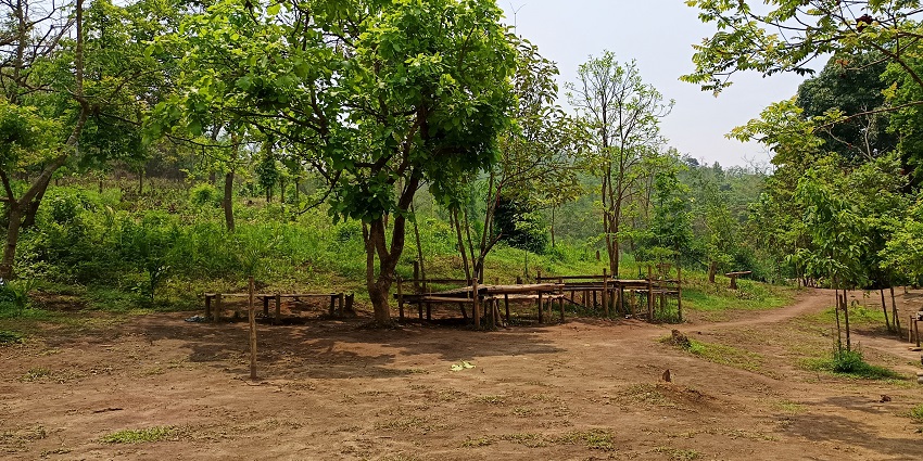 The flight provides opportunities to spot wildlife in Garbhanga Reserve Forest from a unique aerial perspective, making it thrilling.