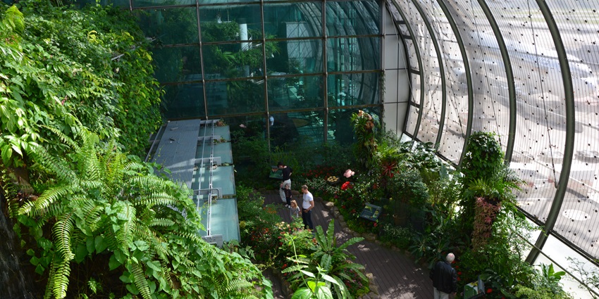 Image of the beautiful garden inside the airport where you can stroll for a while