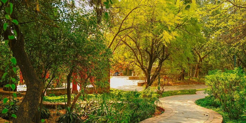 Garden of Five Senses is one of the best places to visit near Janakpuri West for all.