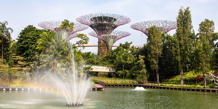 Exploring Gardens by the Bay, with the OCBC Skyway, is one of the best things to do in Singapore for couples.