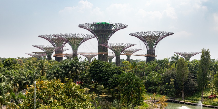 Exploring Gardens by the Bay, with the OCBC Skyway, is one of the best things to do in Singapore.