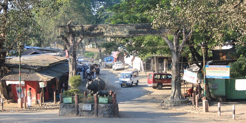 Featuring welcoming signage and lush greenery, leading into the wildlife sanctuary.