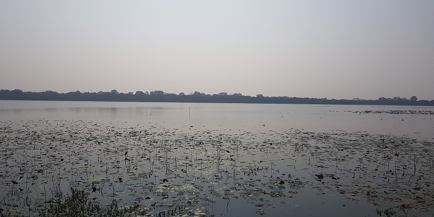 Gaurisagar Tank in Assam with tranquil water, greenery, and temple structures nearby.