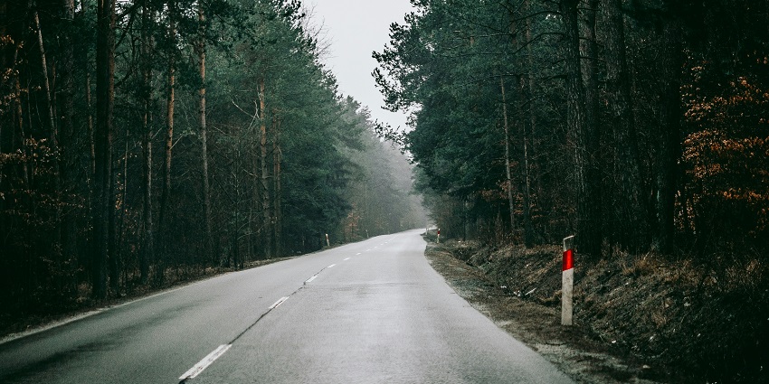 Choose to stroll through the lush landscapes of Ghat Road for an immersive experience.