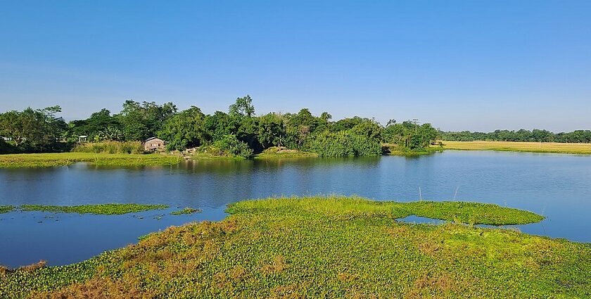 A scenic snapshot of the beautiful ghat of Majuli–Places to visit in Majuli