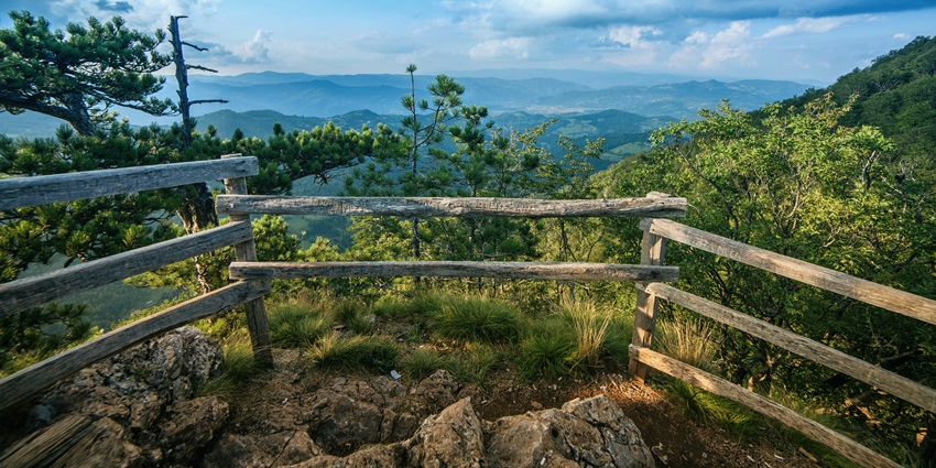 Visit the majestic Giddapahar Viewpoint, one of the best things to do in Kurseong, India.