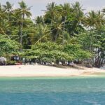 A picture of a beach at Gili islands with tall pine trees and a hut-shaped resort at the shore