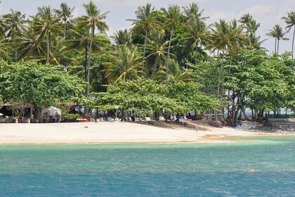 A picture of a beach at Gili islands with tall pine trees and a hut-shaped resort at the shore