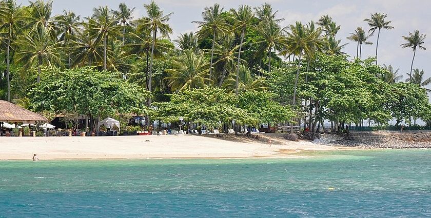 A picture of a beach at Gili islands with tall pine trees and a hut-shaped resort at the shore