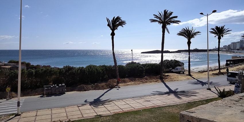 Daylight view of the beach and the shadows of trees—some of the best places to visit