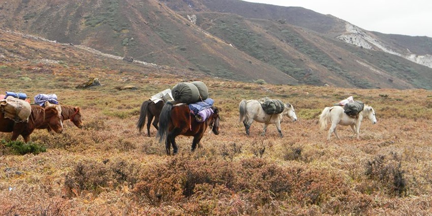 This trek is one of the most challenging treks out of all becoming a perfect attraction for adventure