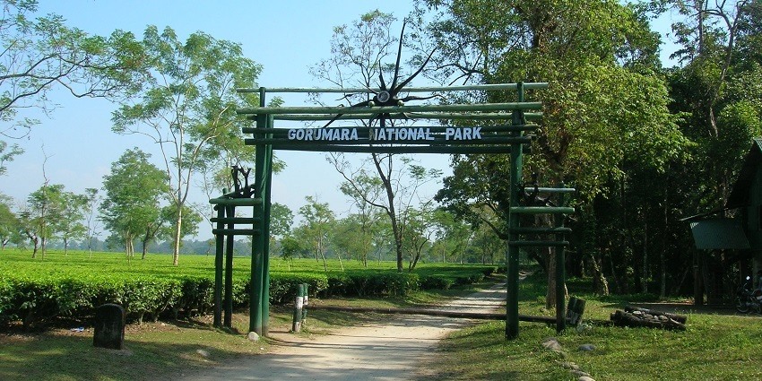 Gorumara National Park is one of the best places near Chakrashila Wildlife Sanctuary.