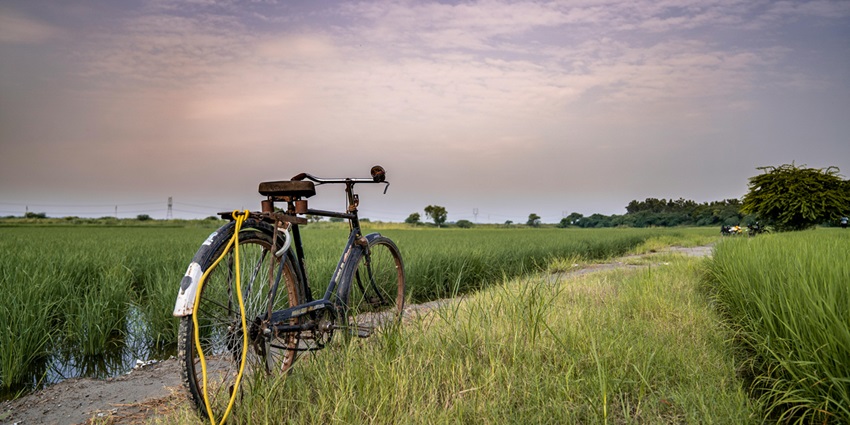 Bicycle parked beside a lush green grass field, with a peaceful, natural backdrop.