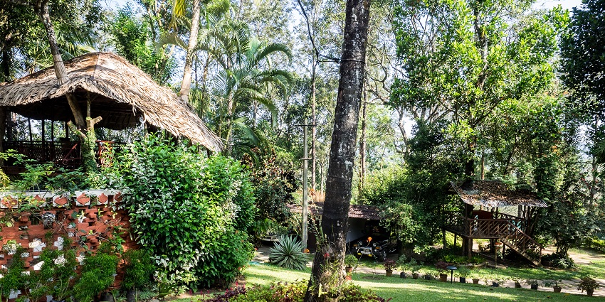 Glimpse of the beautiful Grassroots resort of Wayanad—New Year Party in Wayanad, Kerala