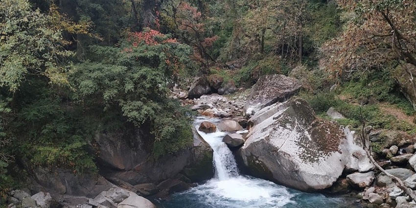 A picture of a quaint waterfall amidst the lush green surroundings of a national park